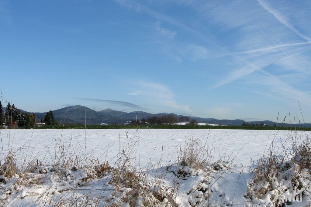 Winterwetter 2009