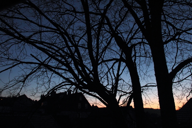 Frühlingsabend 2012