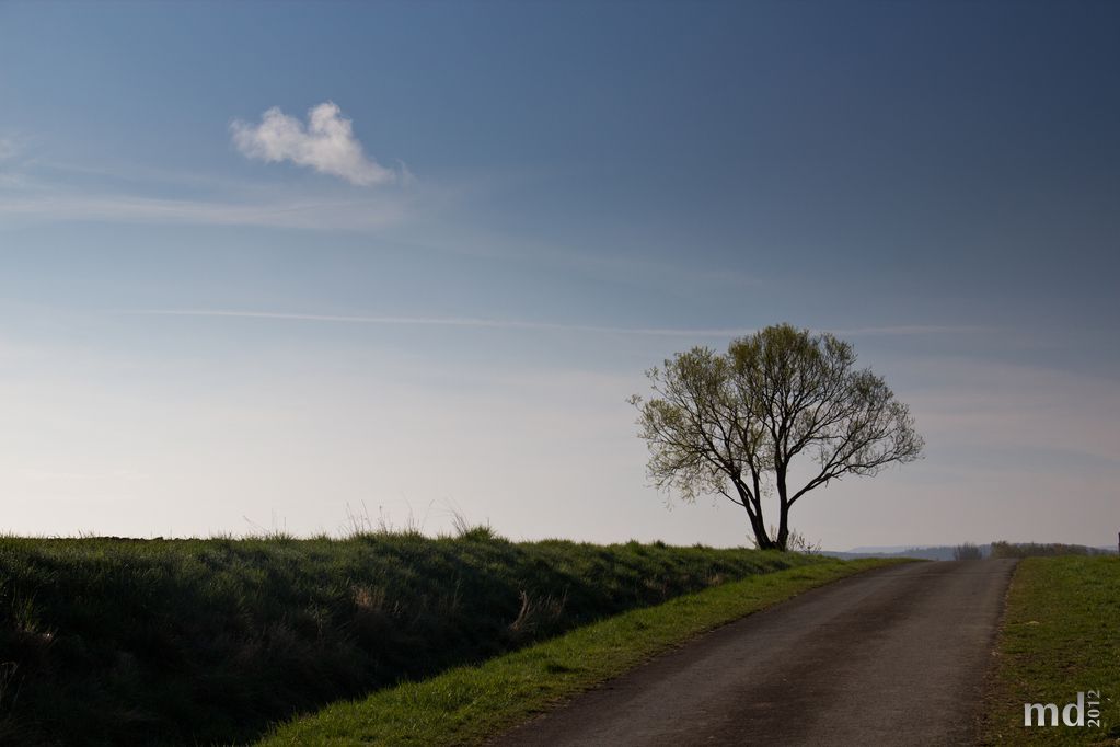 Der Weg ins Feld