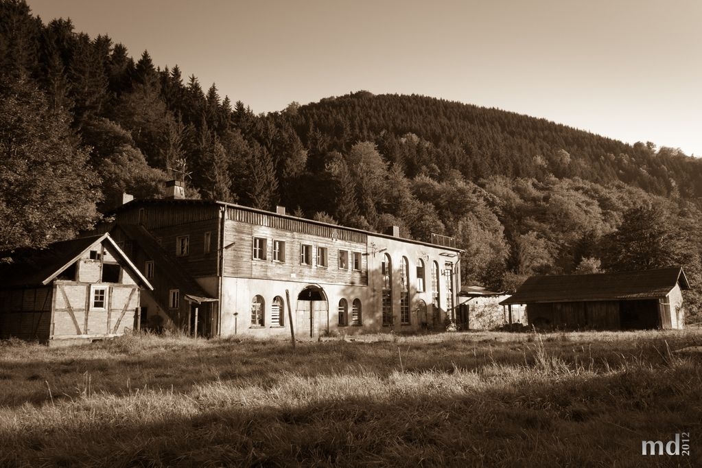 Im Siebertal in der Abendsonne
