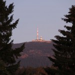 Der Brocken, von Torfhaus aus hinter zwei Fichten